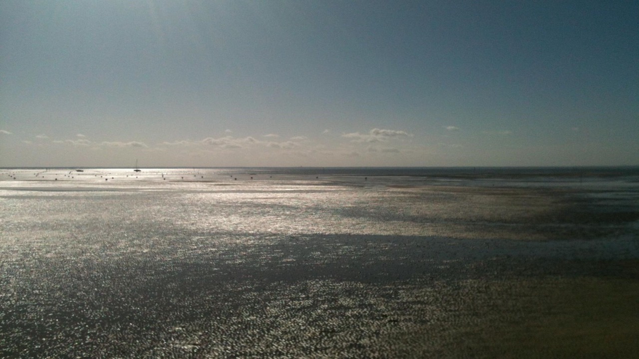 Photo of Others in Taussat