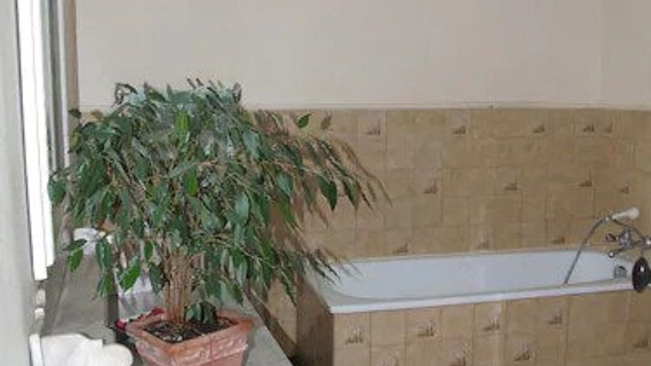 Photo of Bathroom in Loches