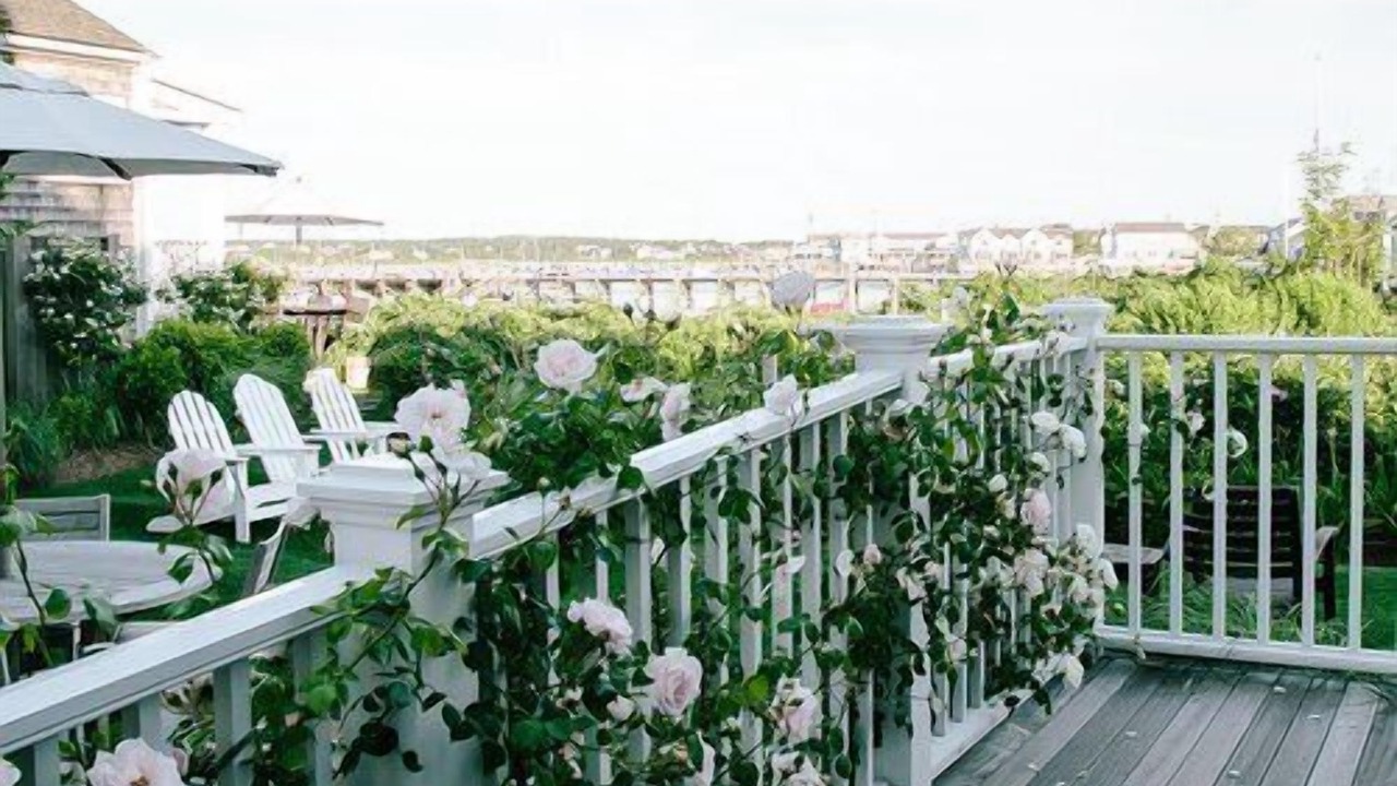 Photo of Others in Nantucket Town