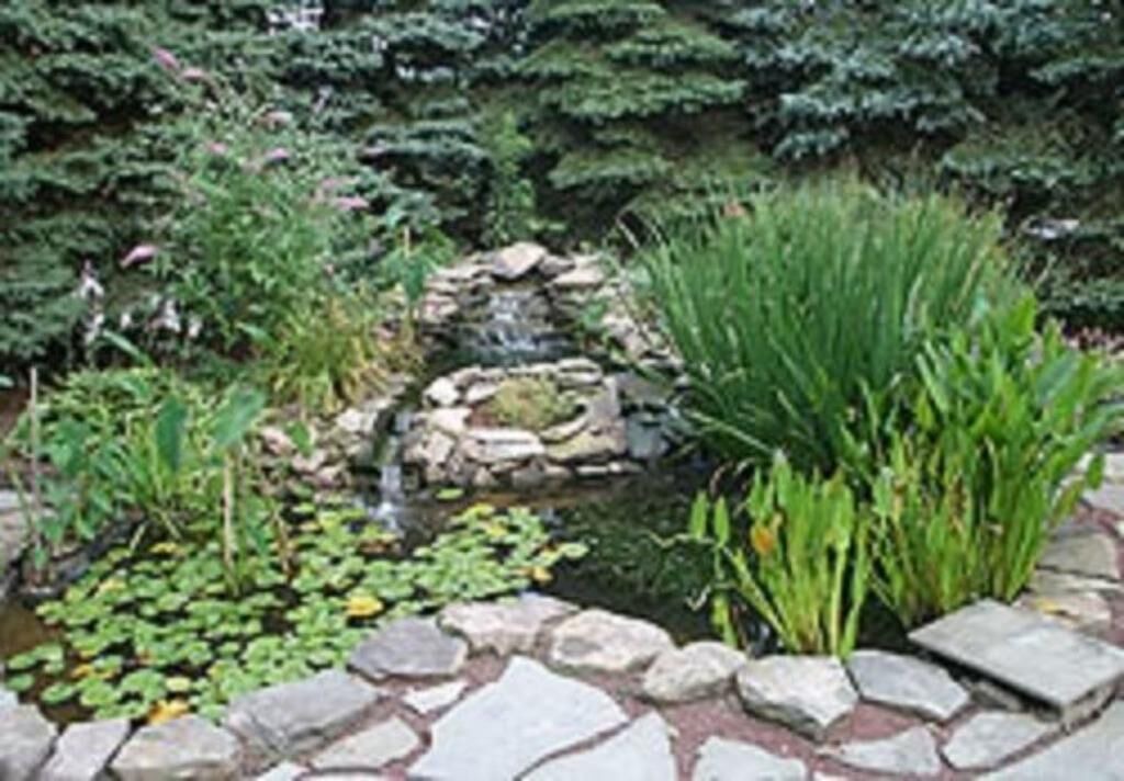 Photo of Outdoor in Reinholds