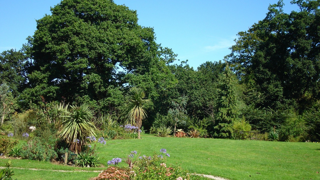 Photo of Outdoor in Valognes