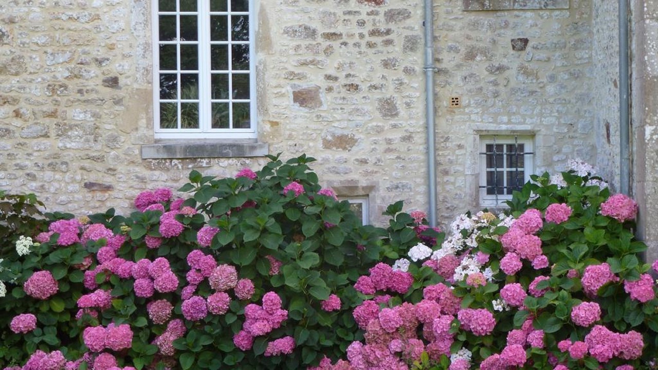 Photo of Outdoor in Valognes