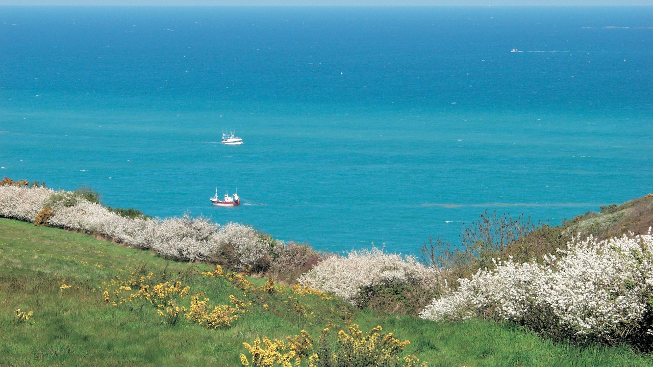 Photo of Outdoor in Binic