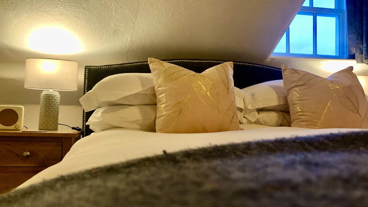 Photo of Others in Dorchester