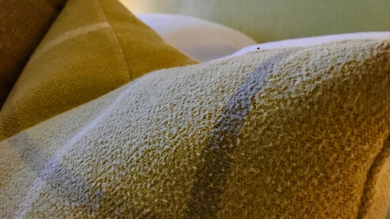 Photo of Others in Dorchester