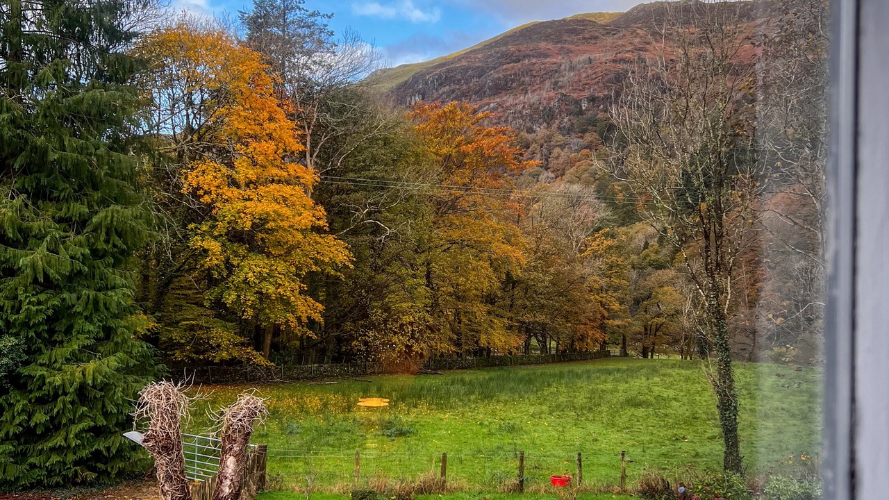 Photo of Bedroom in Tywyn