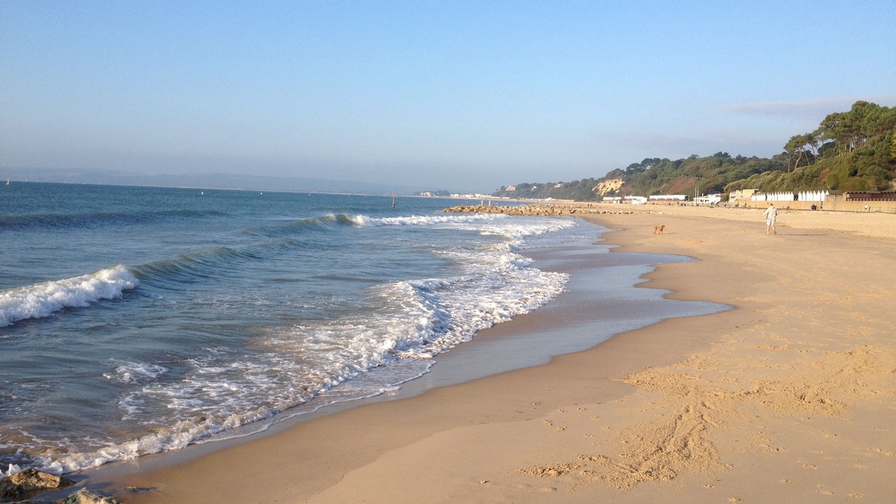 Photo of Others in Westbourne