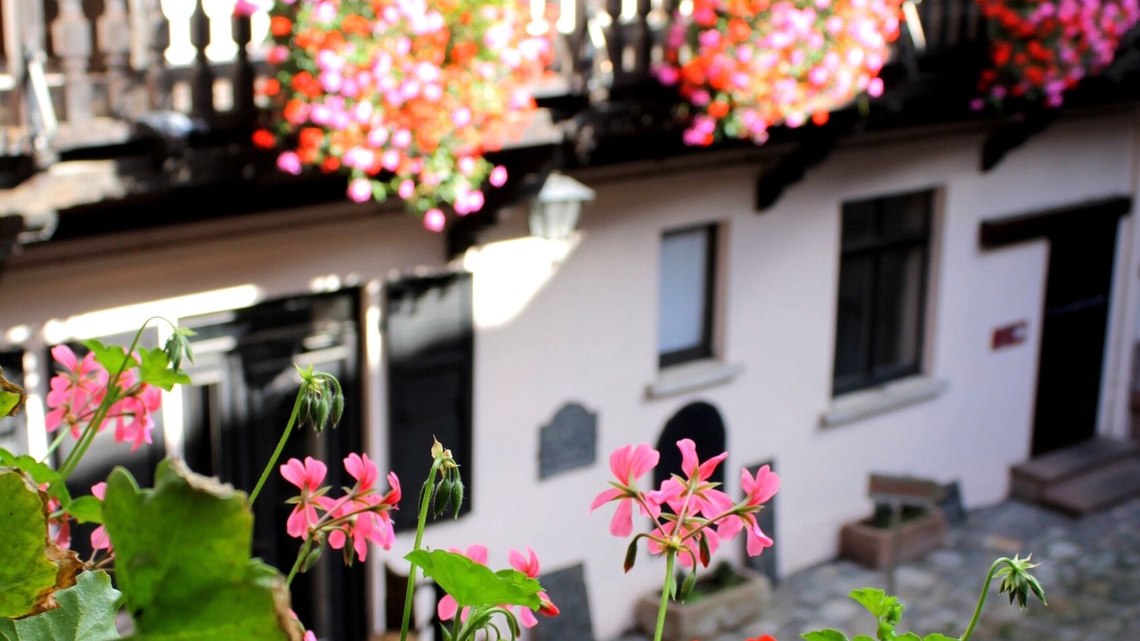 Photo of Outdoor in Obernai