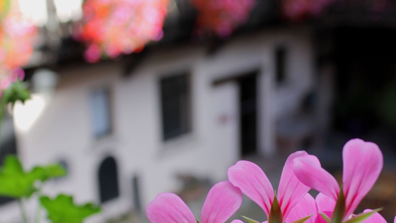 Photo of Outdoor in Obernai