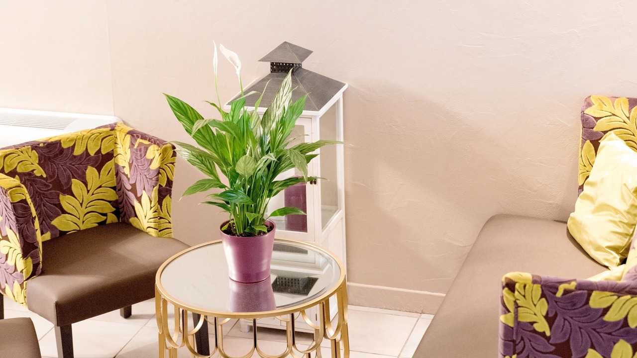 Photo of Others in Le Thoronet