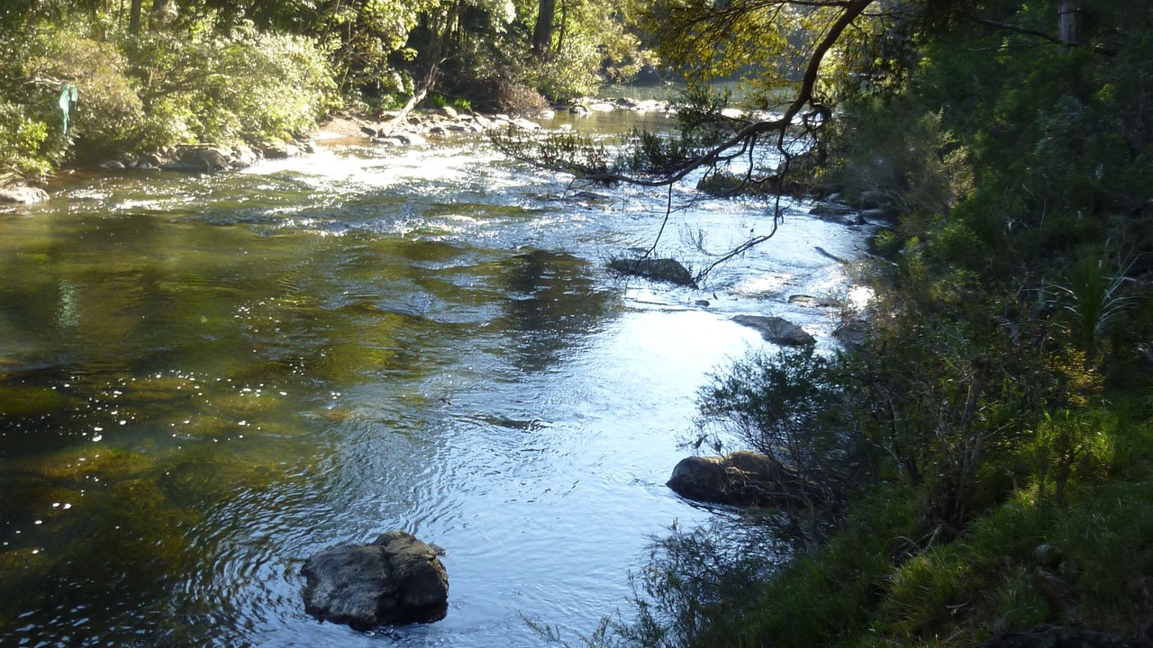 Photo of Others in Kerikeri