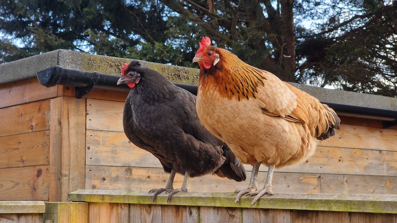 Photo of Outdoor in Stockton-on-Tees