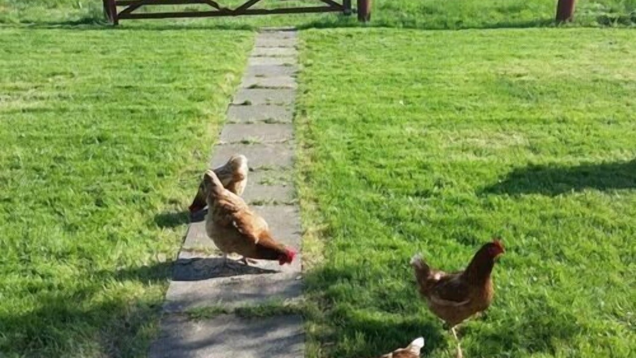 Photo of Outdoor in Stockton-on-Tees