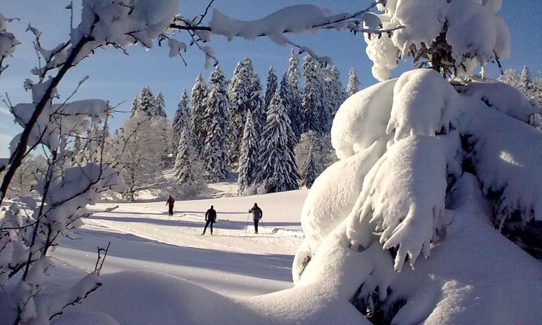 Photo of Others in Le Cret-du-Locle