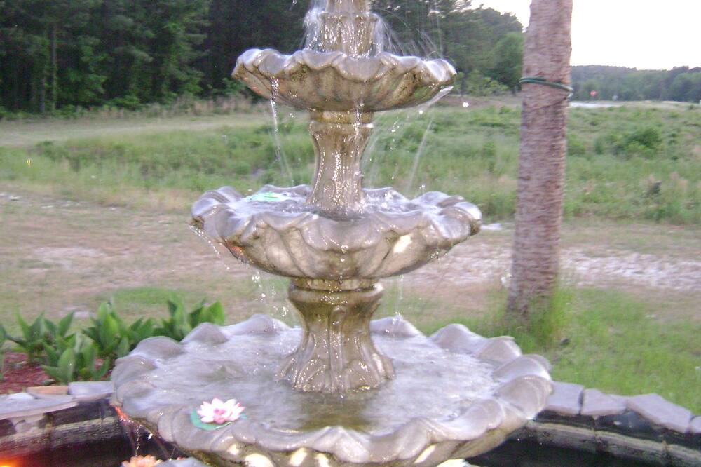 Photo of Outdoor in Peach Orchard
