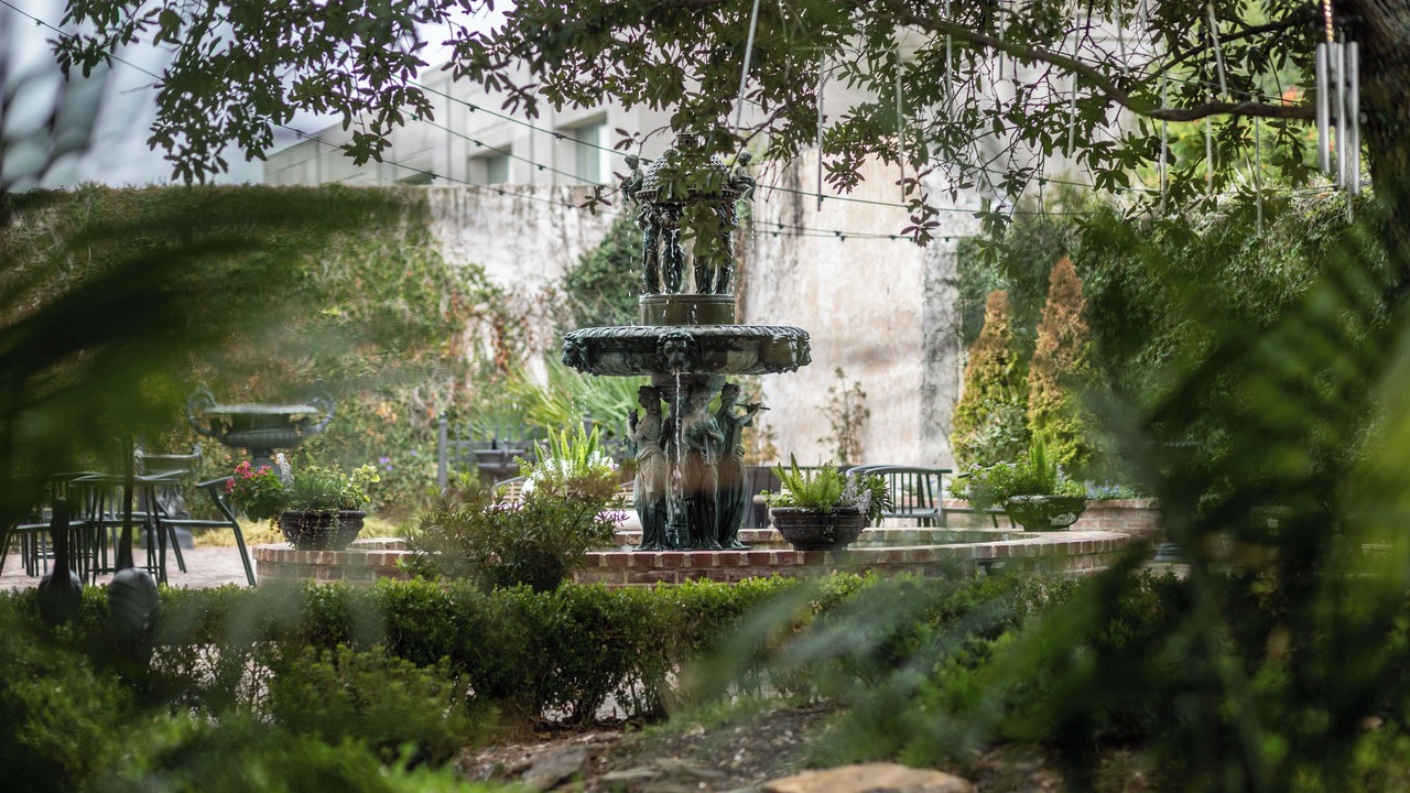 Photo of Outdoor in Downtown Jackson