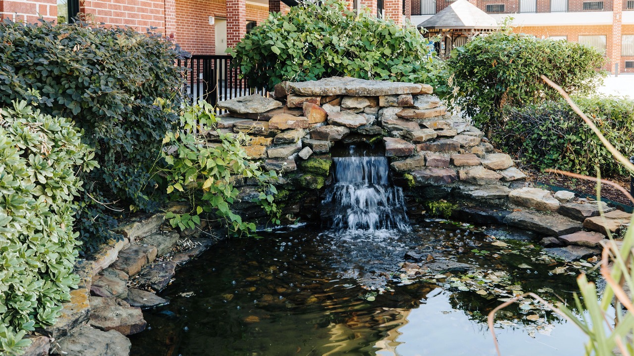 Photo of Outdoor in Humble