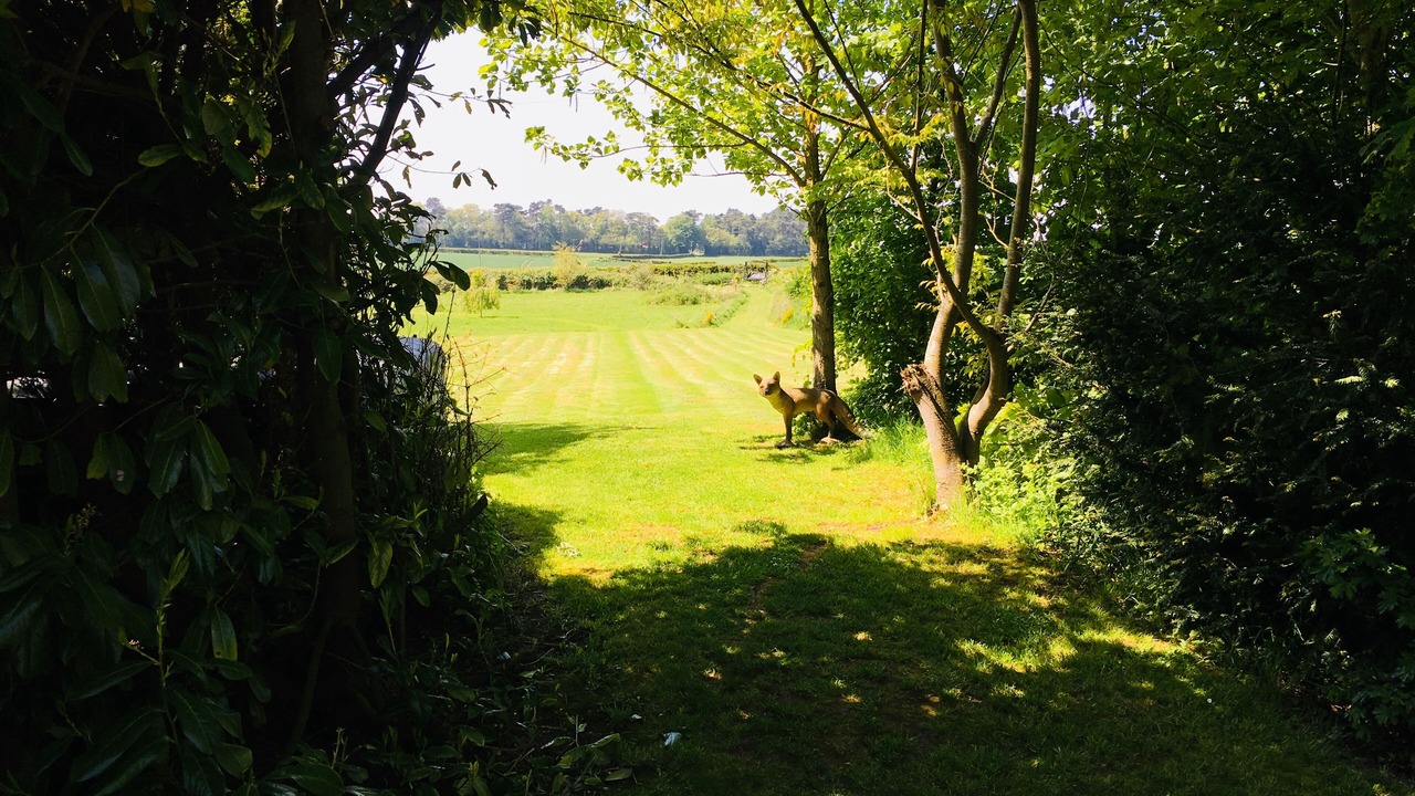 Photo of Outdoor in Bainton