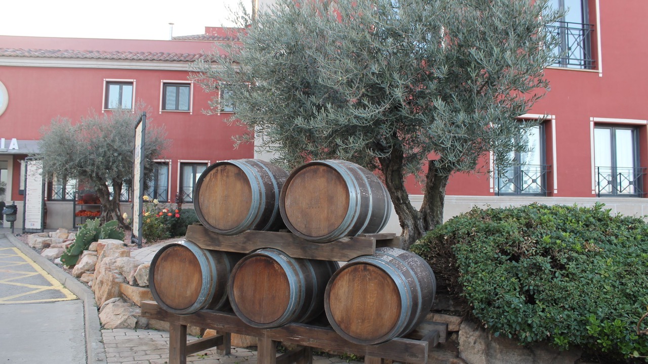 Photo of Outdoor in Calderon