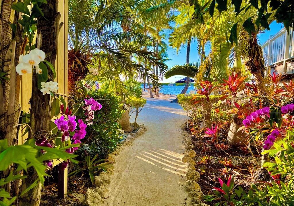 Photo of Outdoor in Tavernier
