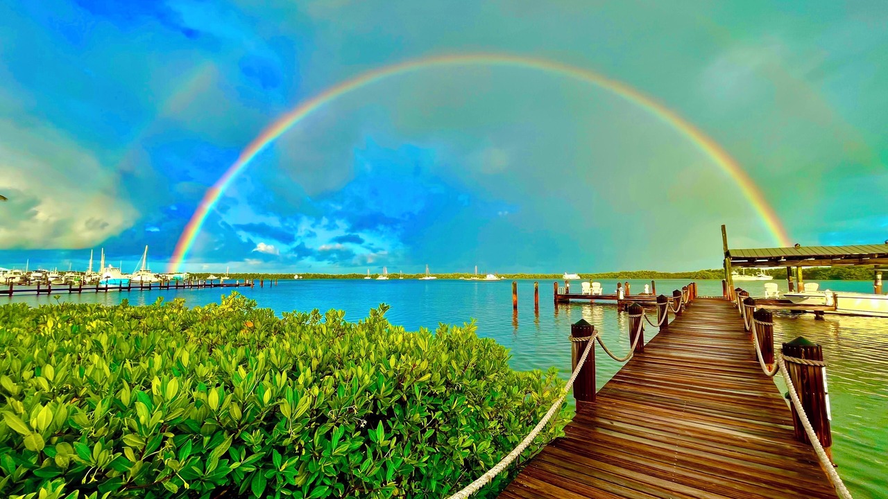 Photo of Others in Tavernier