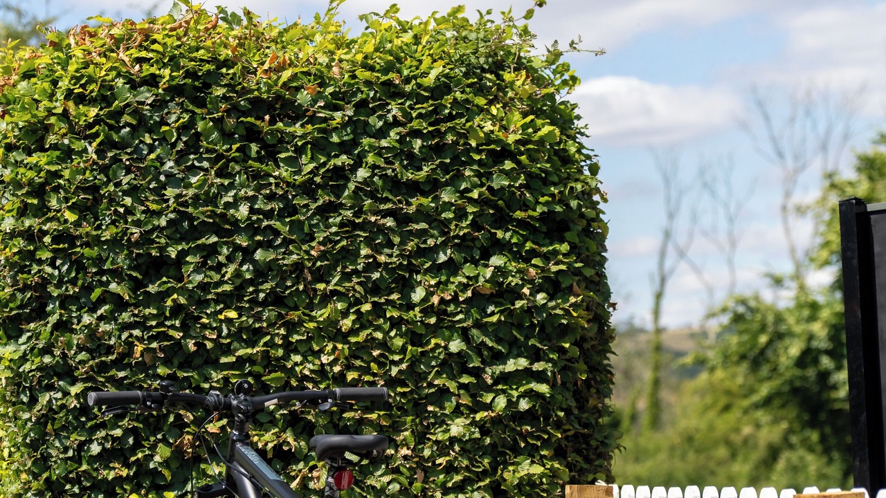 Photo of Outdoor in Clanfield