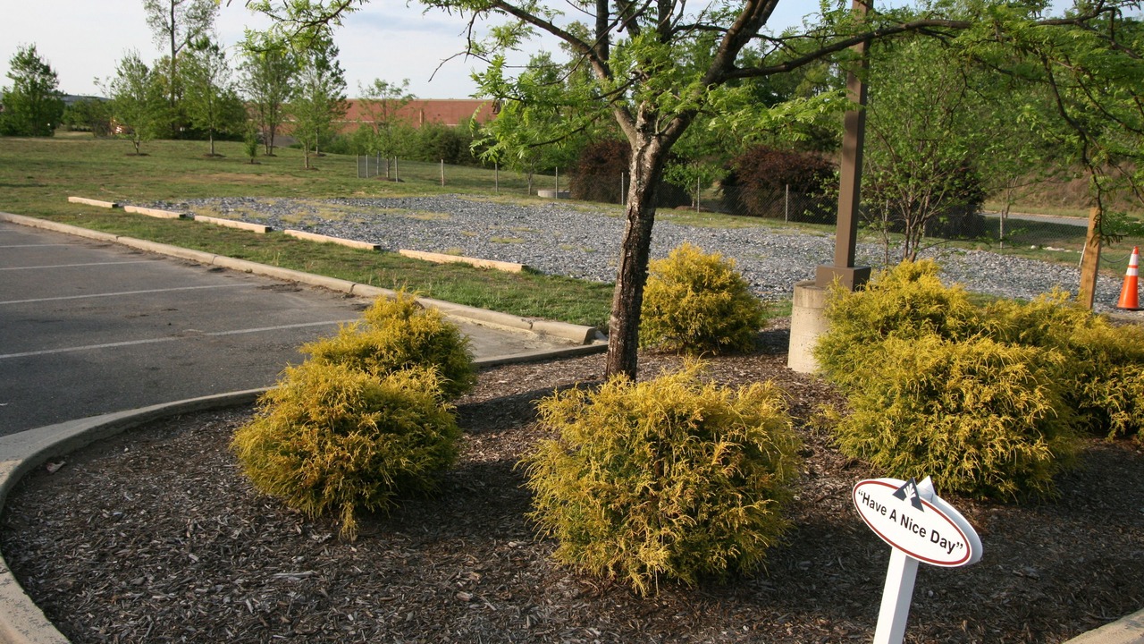 Photo of Others in Fredericksburg