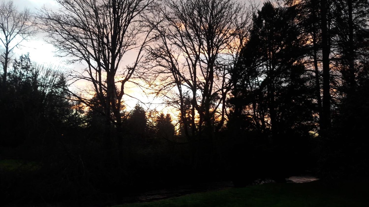 Photo of Outdoor in Monroe