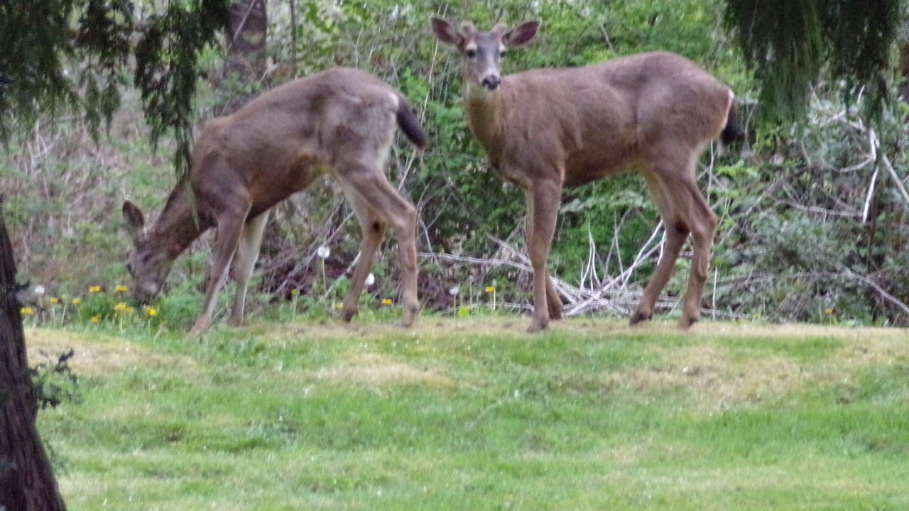 Photo of Outdoor in Monroe