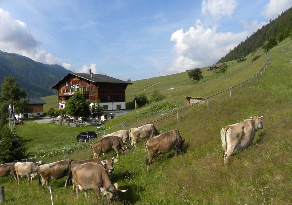Photo of Outdoor in Gluringen