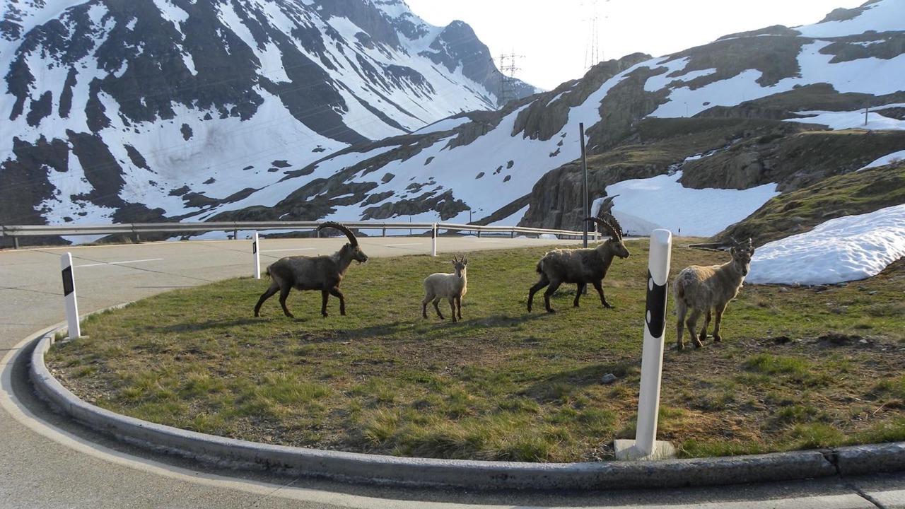 Photo of Others in Gluringen