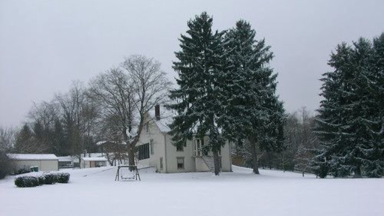 Photo of Outdoor in Dresden