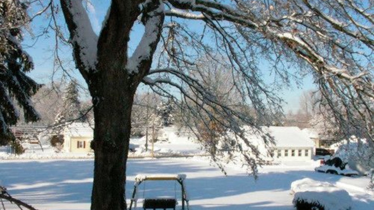 Photo of Outdoor in Dresden