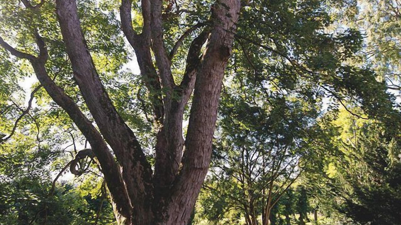 Photo of Others in Brovst