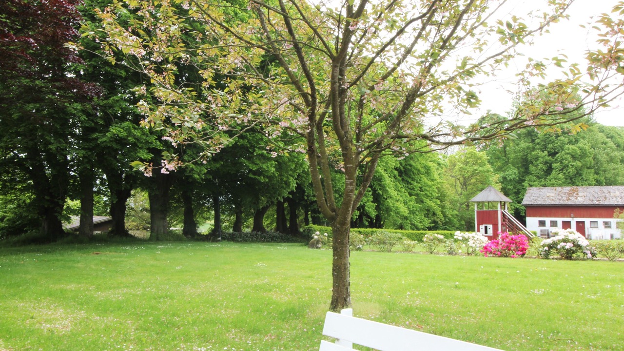 Photo of Outdoor in Brovst