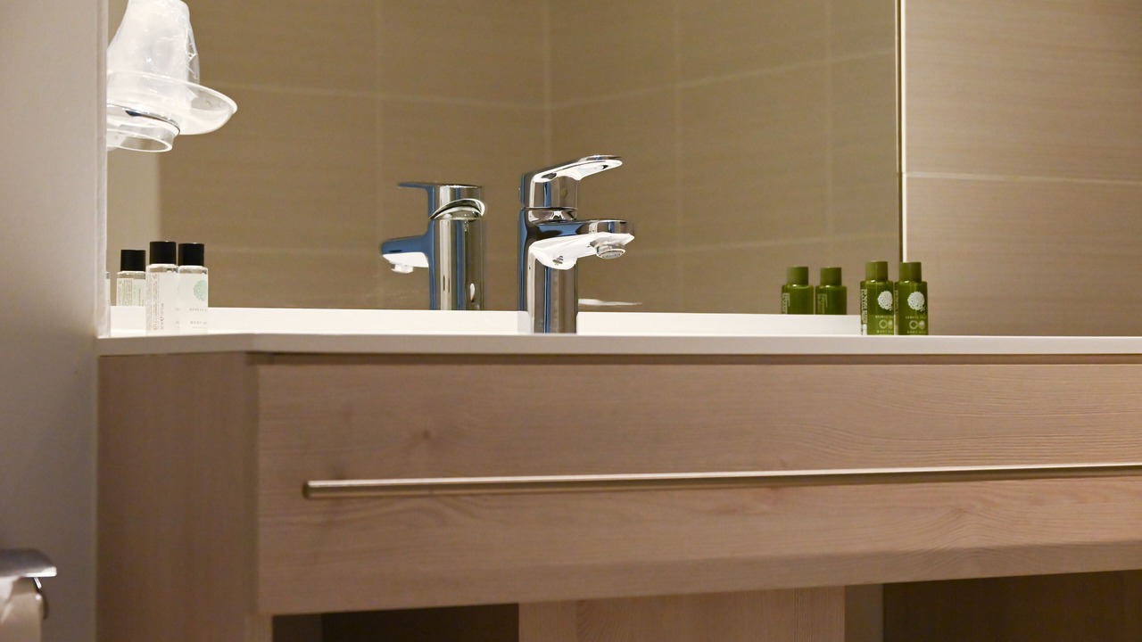 Photo of Bathroom in Annecy-le-Vieux