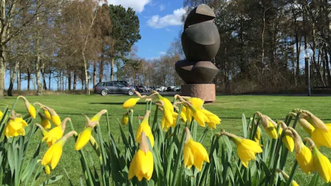 Photo of Outdoor in Grena Strand