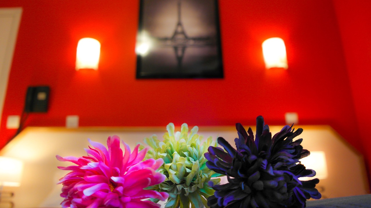 Photo of Bedroom in Montmartre