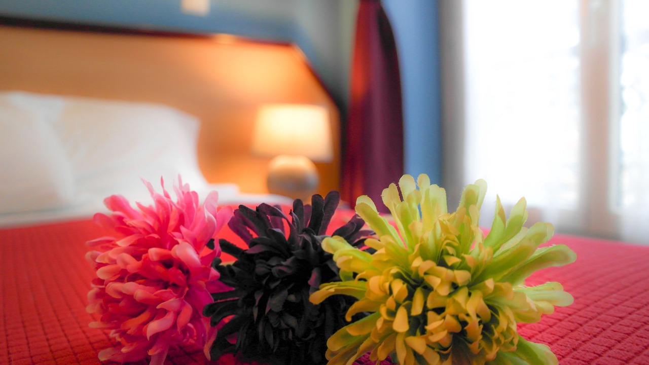 Photo of Bedroom in Montmartre