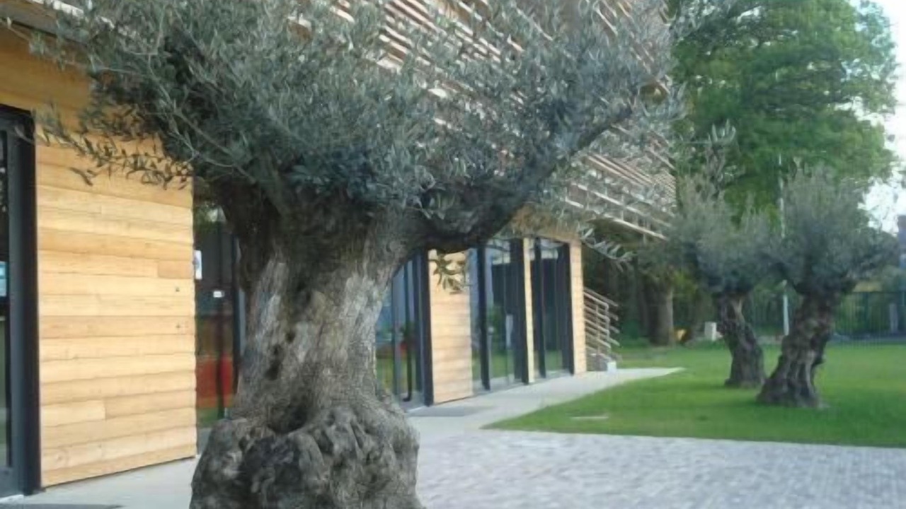 Photo of Outdoor in Saint-Nazaire