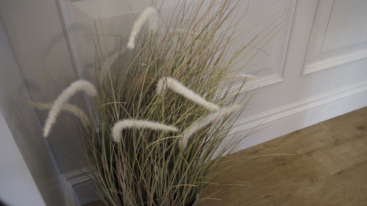 Photo of Others in Spalding