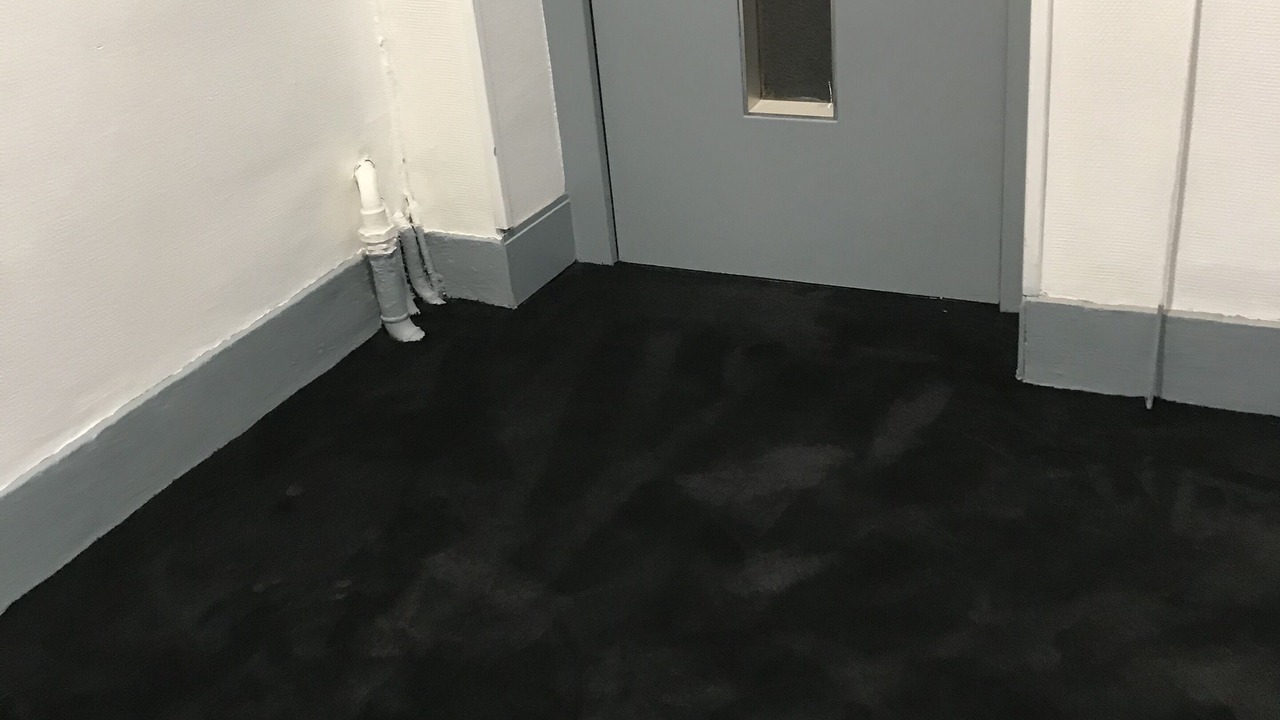 Photo of Others in Lourdes