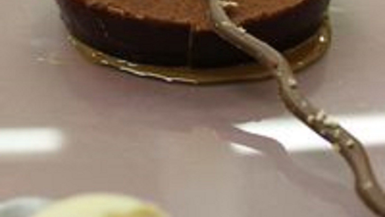 Photo of Others in Embrun