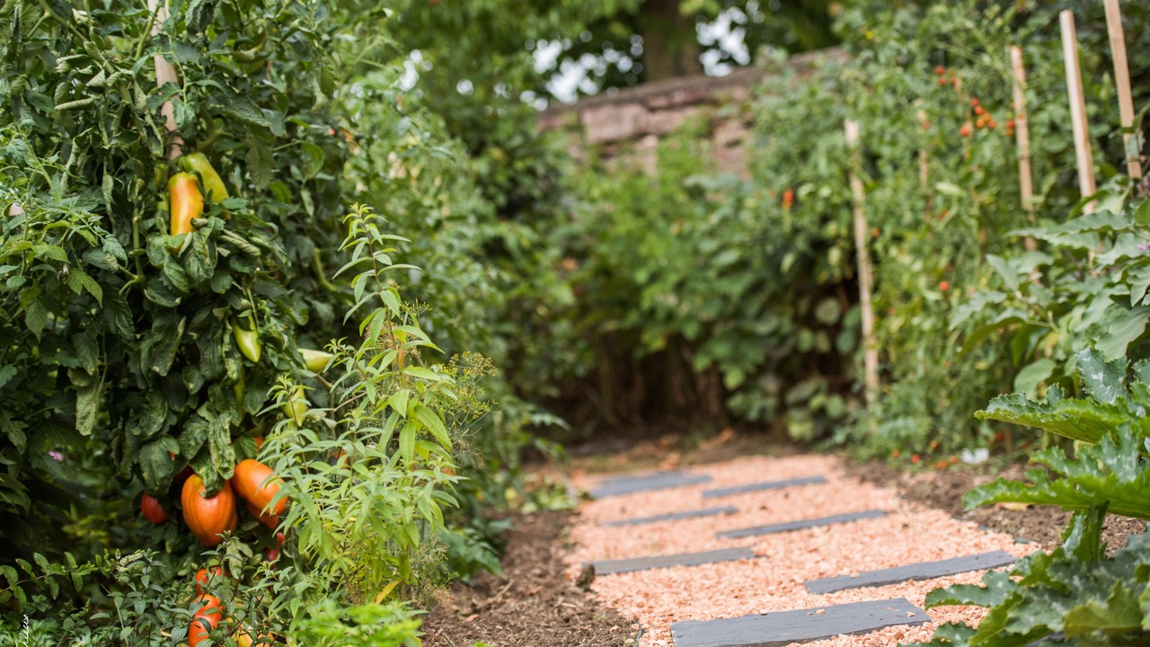 Photo of Outdoor in Julienas