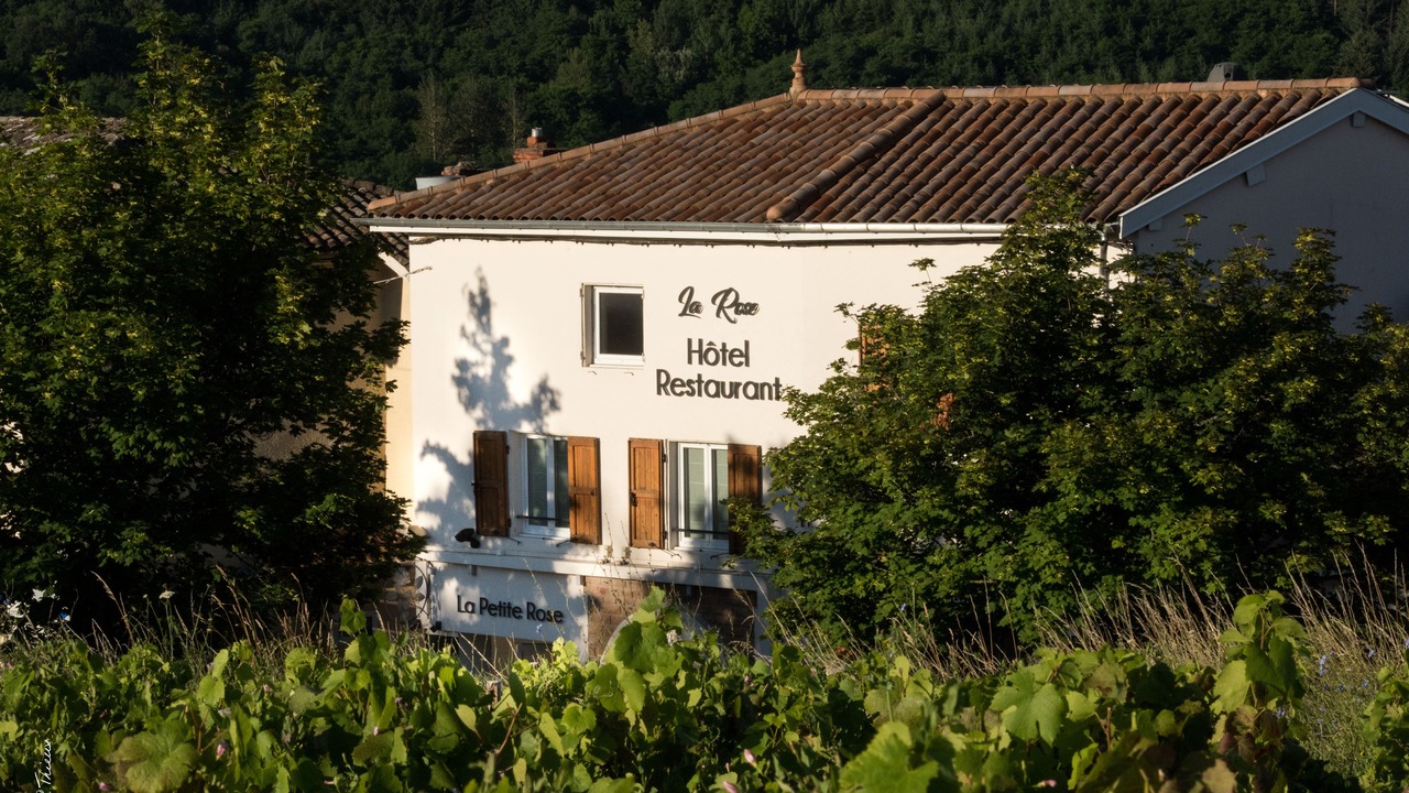 Photo of Outdoor in Julienas