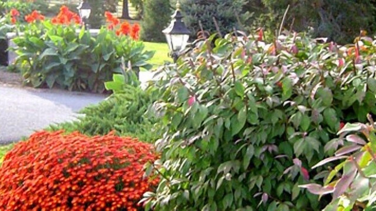 Photo of Outdoor in Elizabethtown