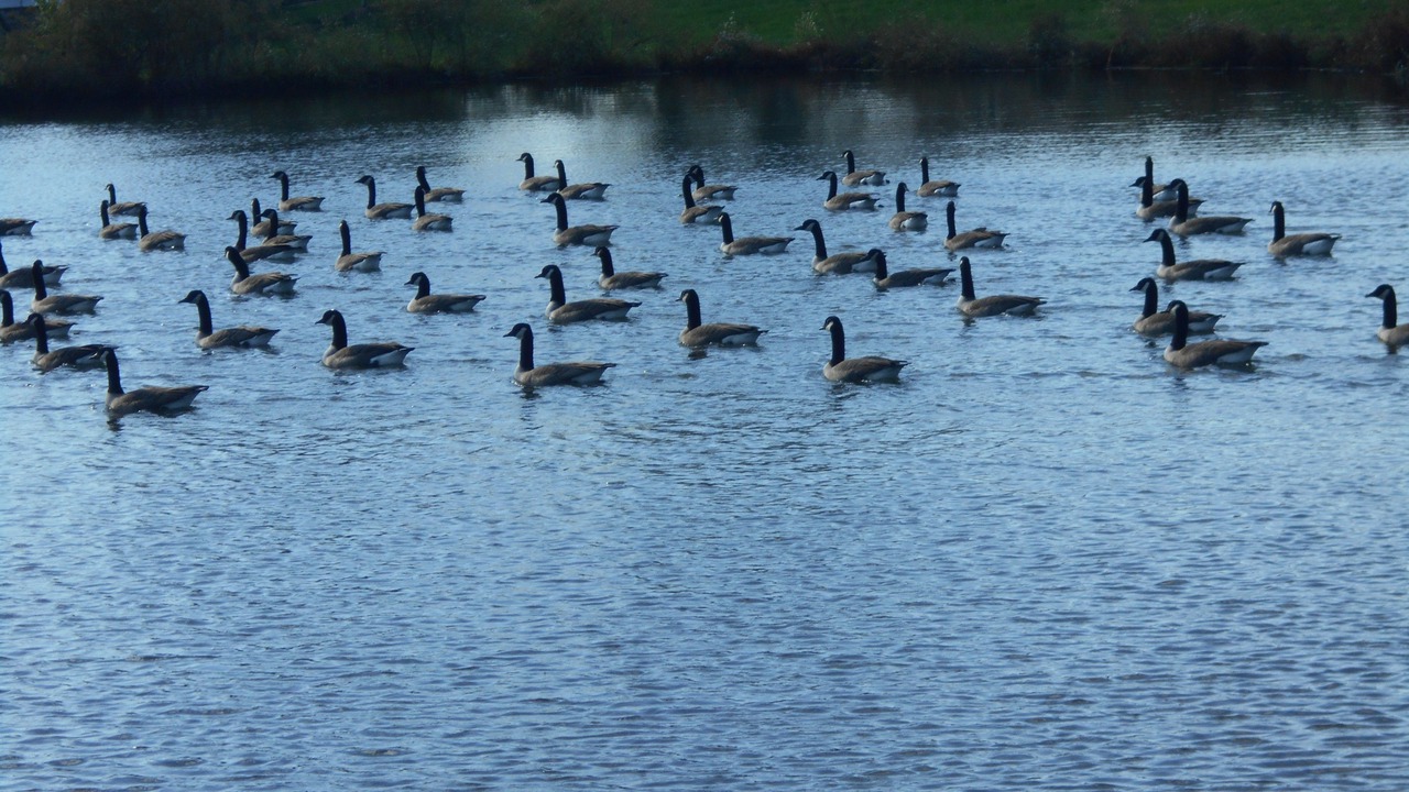 Photo of Others in Elizabethtown