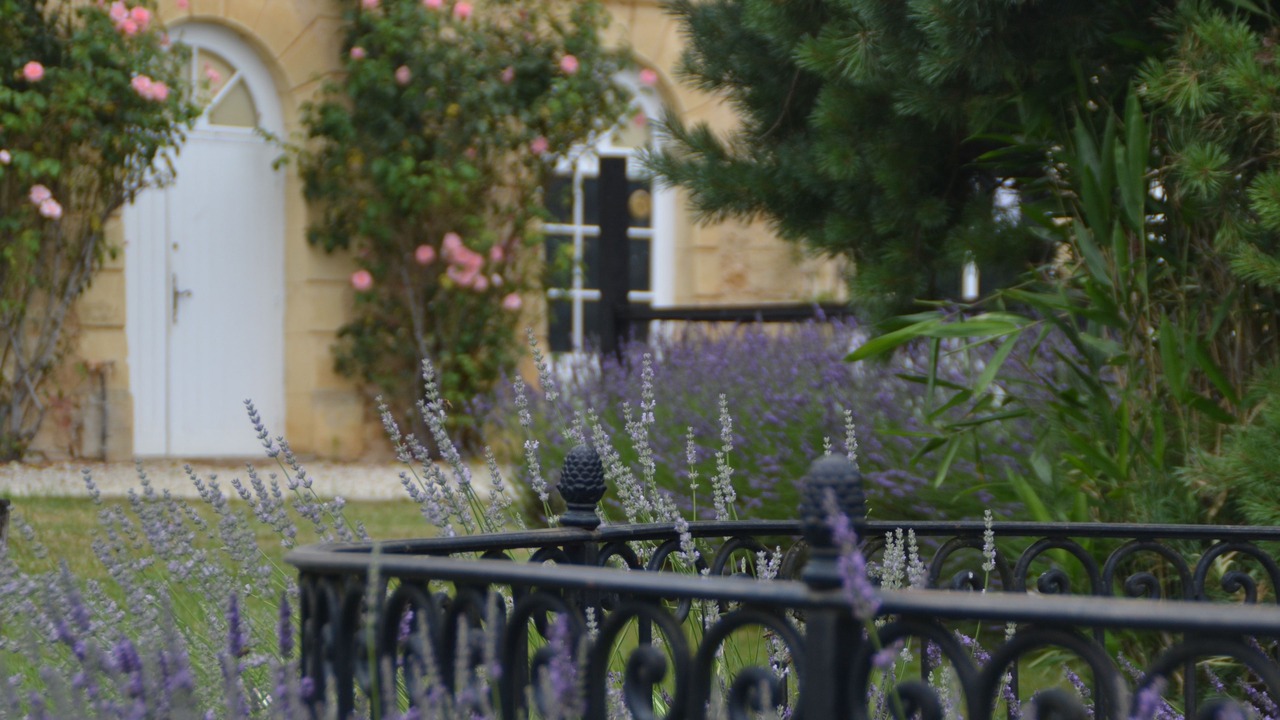 Photo of Outdoor in Mouleydier