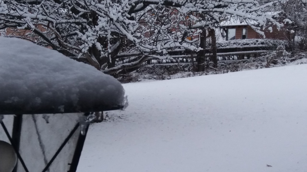 Photo of Outdoor in Fiesch