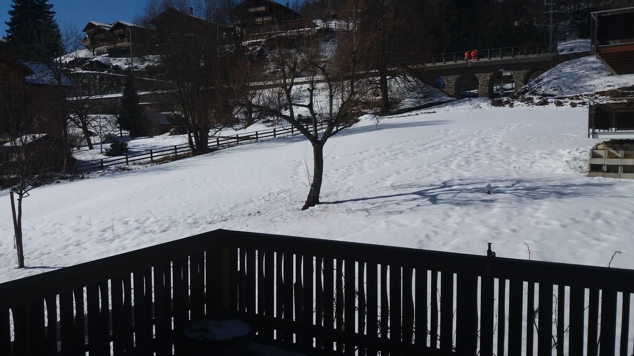 Photo of Others in Fiesch